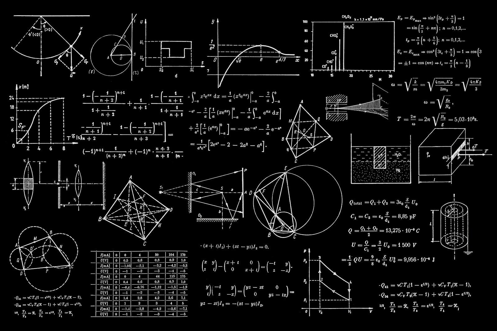 Neural model visualization